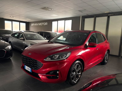Ford Kuga 1.5 EcoBlue 120 CV 2WD ST-Line usata