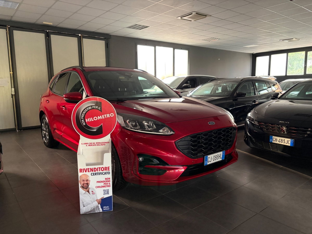 Ford Kuga 1.5 EcoBlue 120 CV 2WD ST-Line (3)