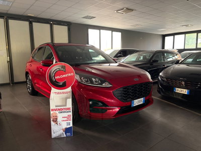 Ford Kuga 1.5 EcoBlue 120 CV 2WD ST-Line (3)