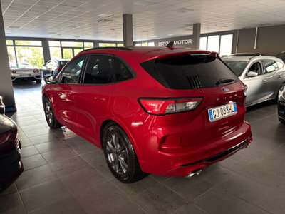 Ford Kuga 1.5 EcoBlue 120 CV 2WD ST-Line (4)