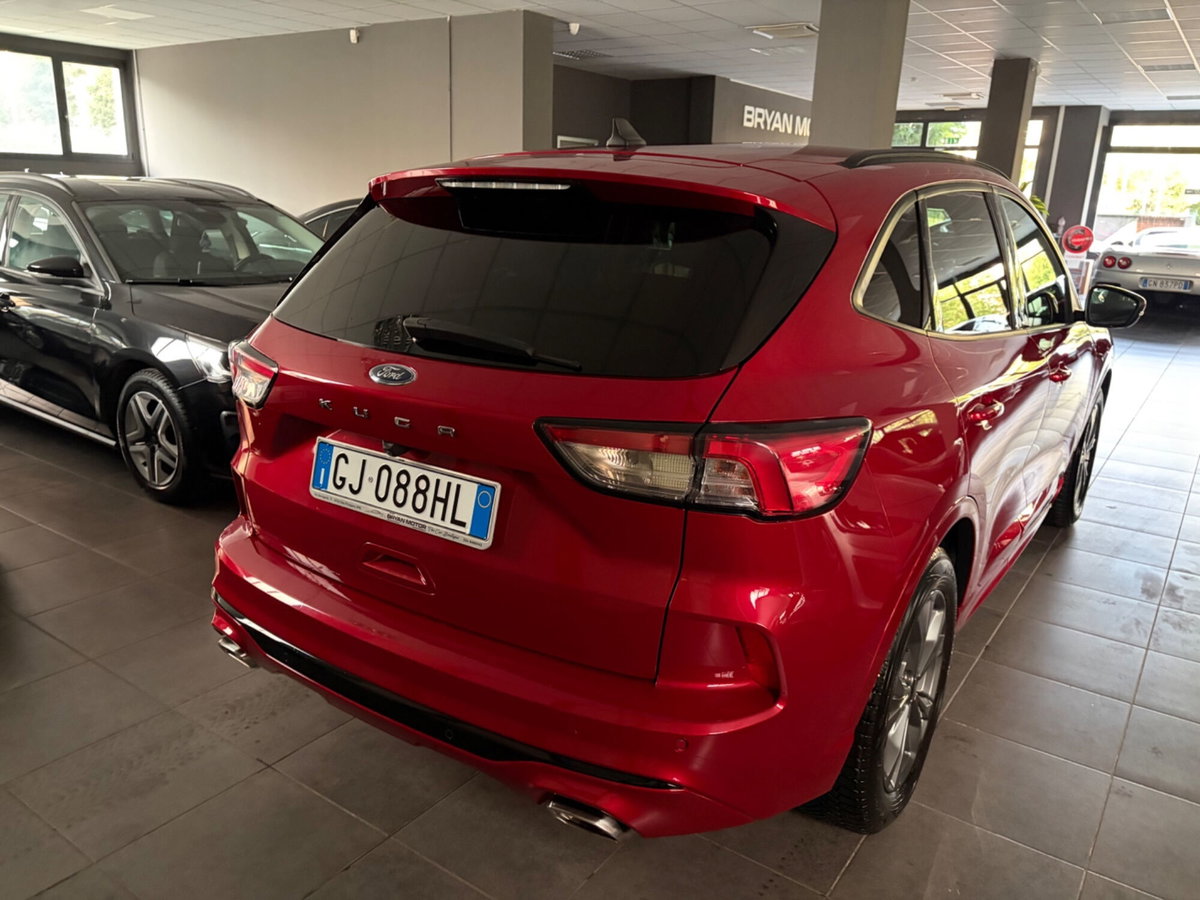 Ford Kuga 1.5 EcoBlue 120 CV 2WD ST-Line (6)