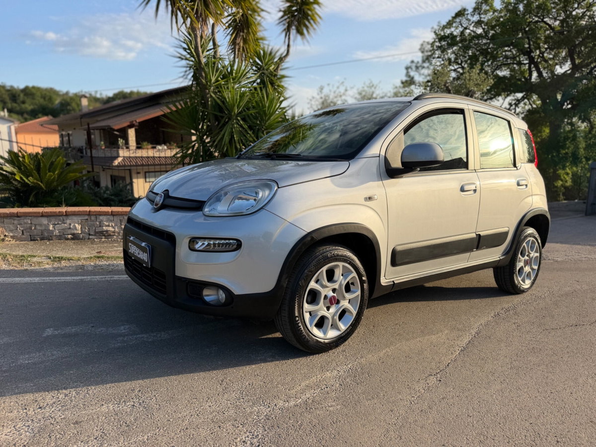 Fiat Panda 0.9 TwinAir Turbo Natural Power Trekking (2)