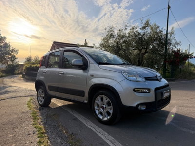Fiat Panda 0.9 TwinAir Turbo Natural Power Trekking (9)