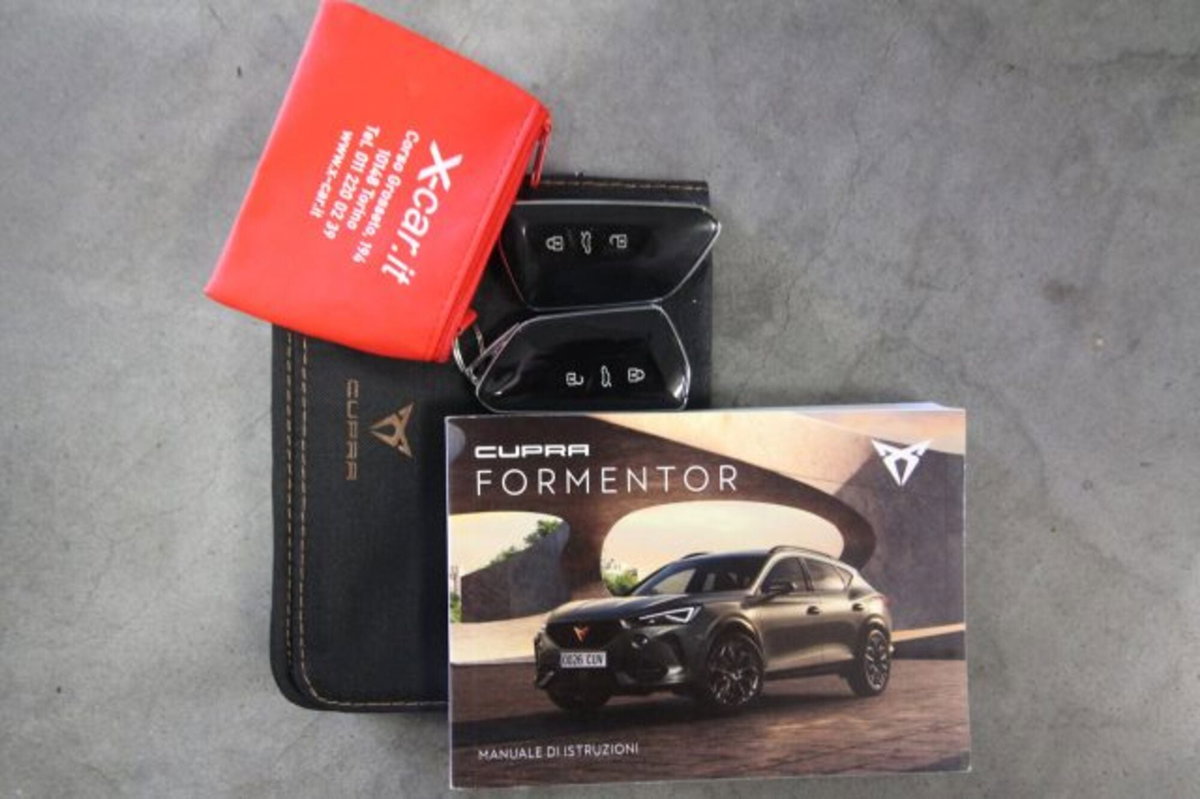 Cupra Formentor Formentor 1.4 e-Hybrid DSG (18)