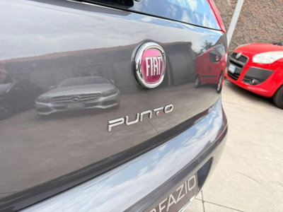 Fiat Punto 1.3 MJT II S&S 95 CV 5 porte Street (10)