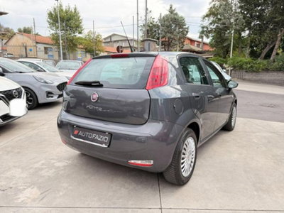 Fiat Punto 1.3 MJT II S&S 95 CV 5 porte Street (11)