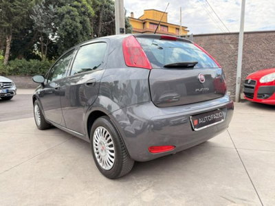 Fiat Punto 1.3 MJT II S&S 95 CV 5 porte Street (3)