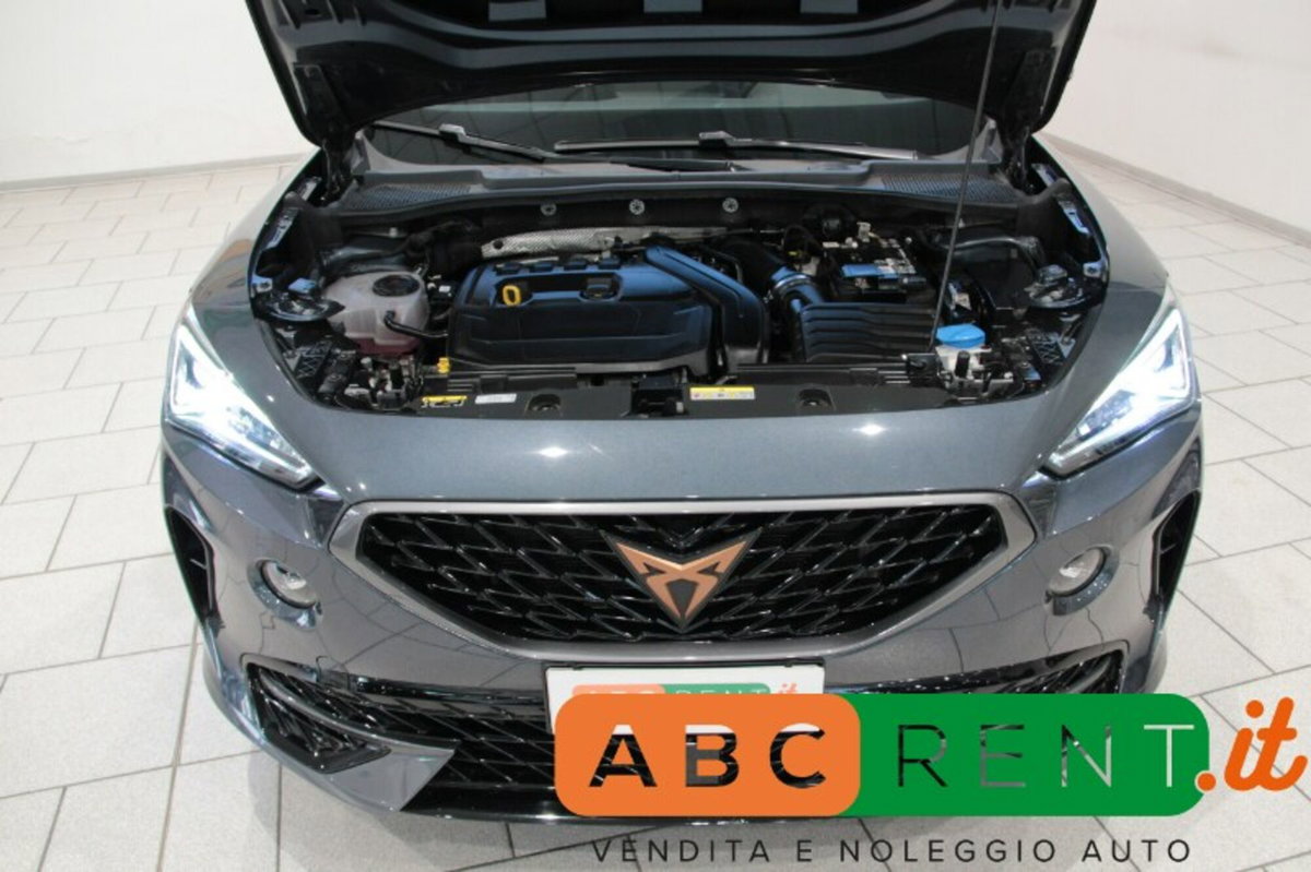 Cupra Formentor Formentor 1.5 TSI (14)