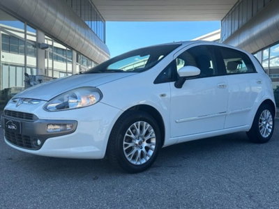 Fiat Punto Evo 1.3 Mjt 75 CV 5 porte Dynamic (3)