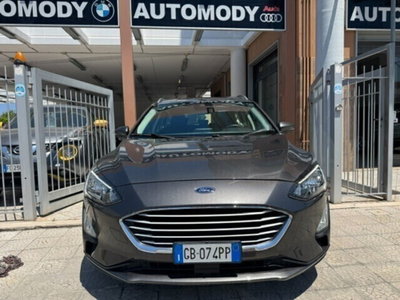 Ford Focus Station Wagon 1.5 EcoBlue 120 CV automatico SW Business (3)