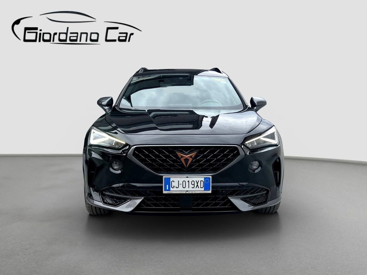 Cupra Formentor Formentor 2.0 tdi 4drive 150cv dsg (2)