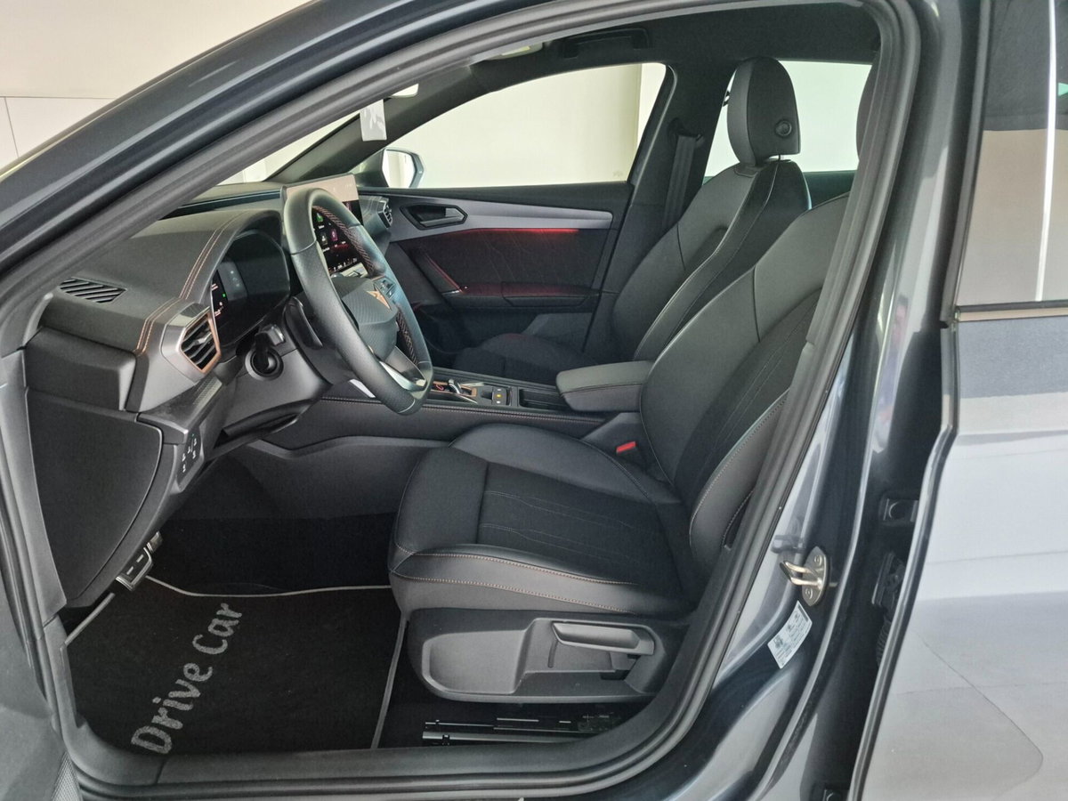 Cupra Leon Leon 2.0 tdi 150cv dsg (12)