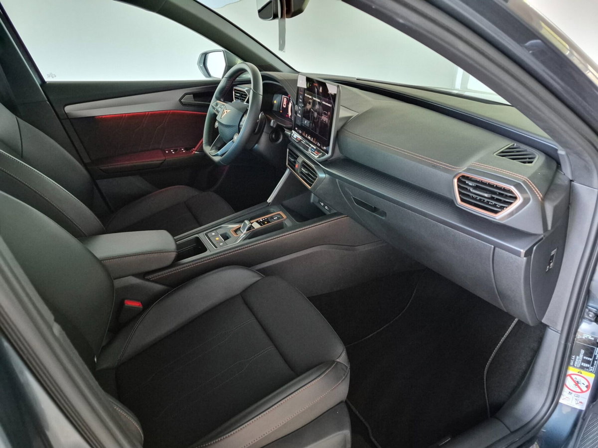 Cupra Leon Leon 2.0 tdi 150cv dsg (15)