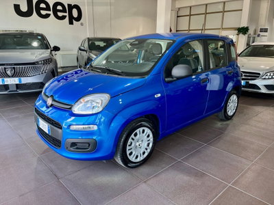 Fiat Panda Cross Cross 1.0 FireFly S&S Hybrid usata