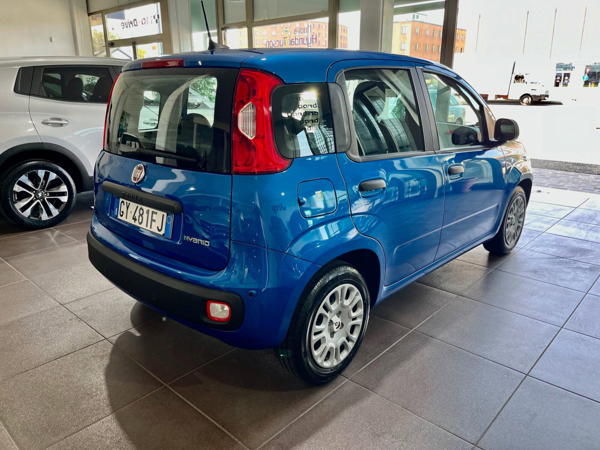 Fiat Panda Cross Cross 1.0 FireFly S&S Hybrid (4)