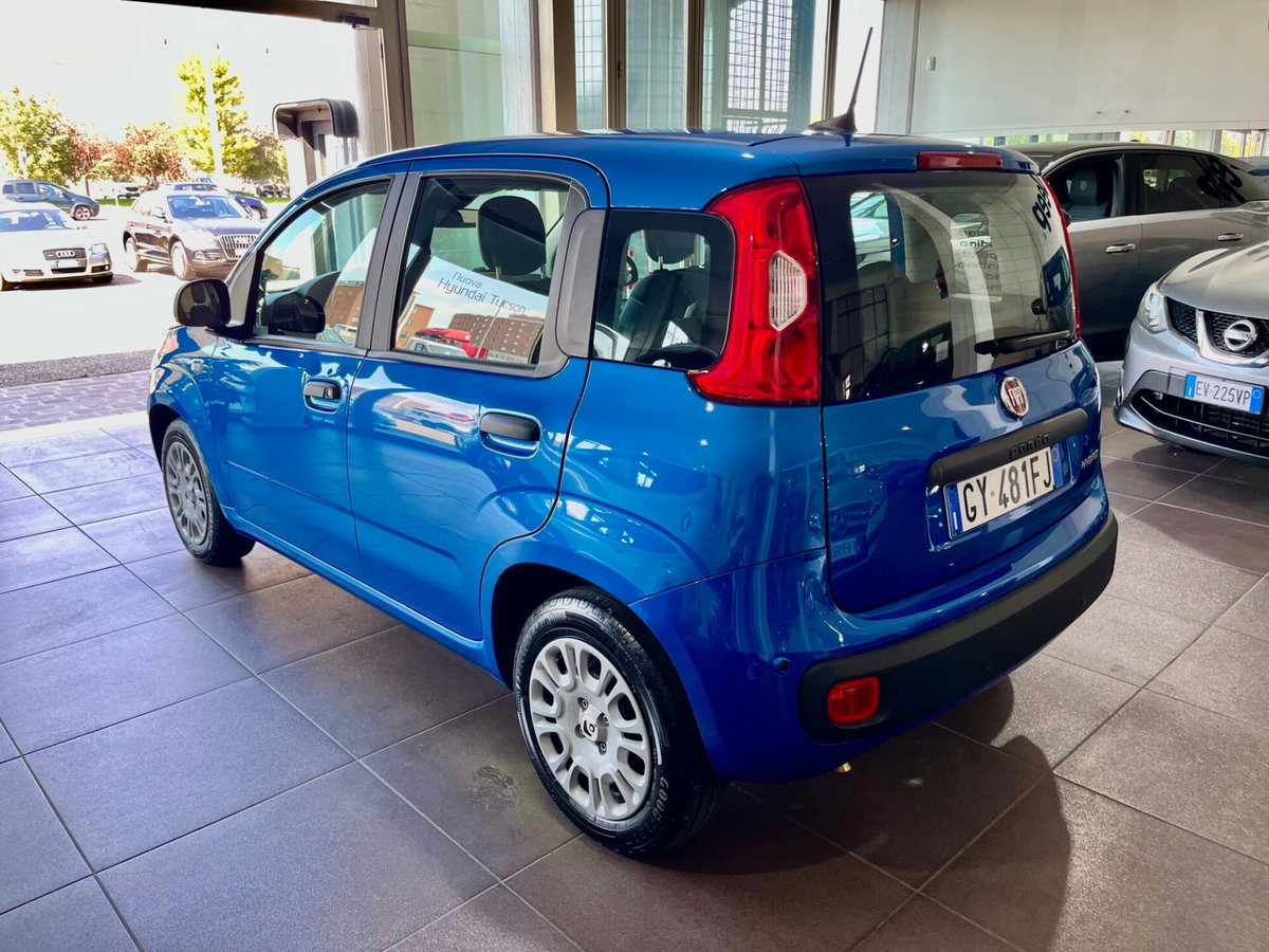 Fiat Panda Cross Cross 1.0 FireFly S&S Hybrid (5)