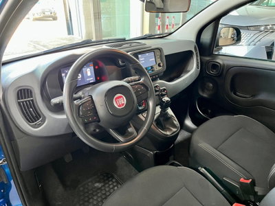 Fiat Panda Cross Cross 1.0 FireFly S&S Hybrid (6)