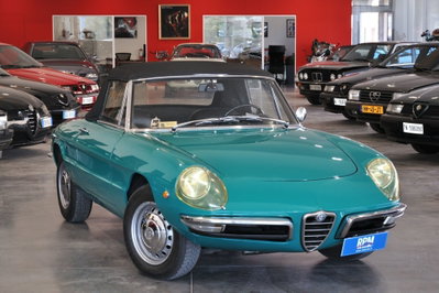 Alfa Romeo Spider 1.6 Junior usata