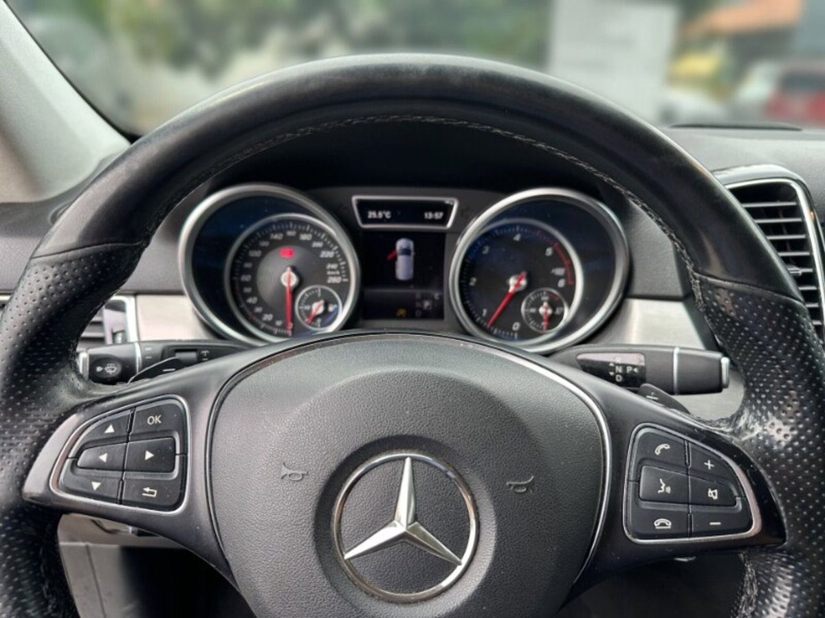Mercedes-Benz GLE SUV 250 d 4Matic Premium (8)