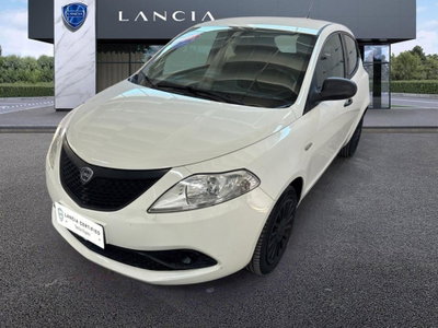 Lancia Ypsilon 1.2 69 CV 5 porte Elefantino usata