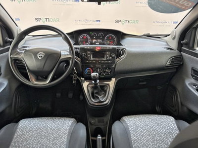 Lancia Ypsilon 1.2 69 CV 5 porte Elefantino (12)