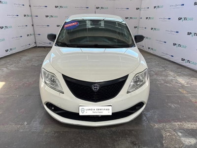 Lancia Ypsilon 1.2 69 CV 5 porte Elefantino (2)