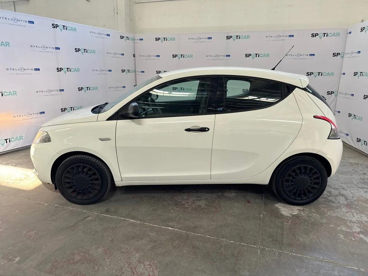 Lancia Ypsilon 1.2 69 CV 5 porte Elefantino (4)