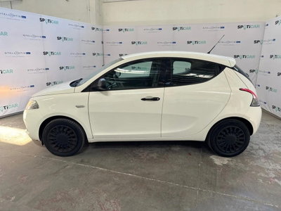 Lancia Ypsilon 1.2 69 CV 5 porte Elefantino (4)