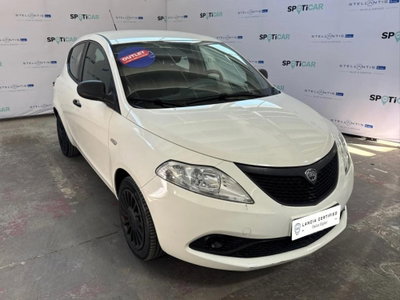 Lancia Ypsilon 1.2 69 CV 5 porte Elefantino (5)