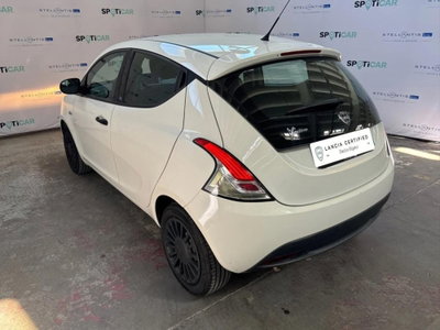 Lancia Ypsilon 1.2 69 CV 5 porte Elefantino (6)