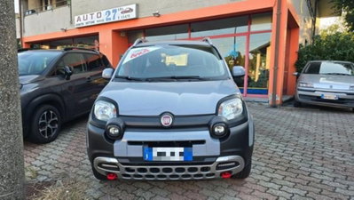 Fiat Panda Cross Cross 0.9 TwinAir Turbo S&S 4x4 (2)