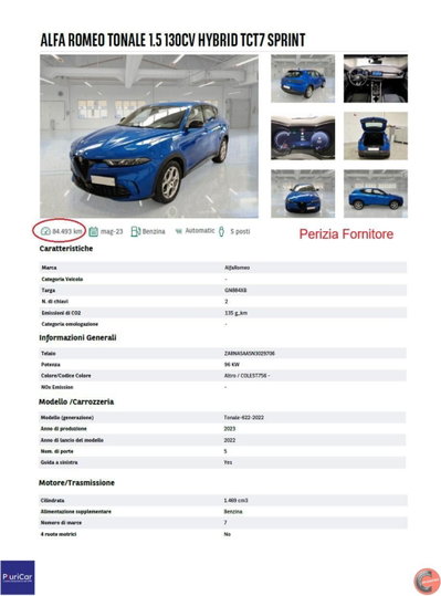Alfa Romeo Tonale 1.6 Tonale 130cv tct6 (13)