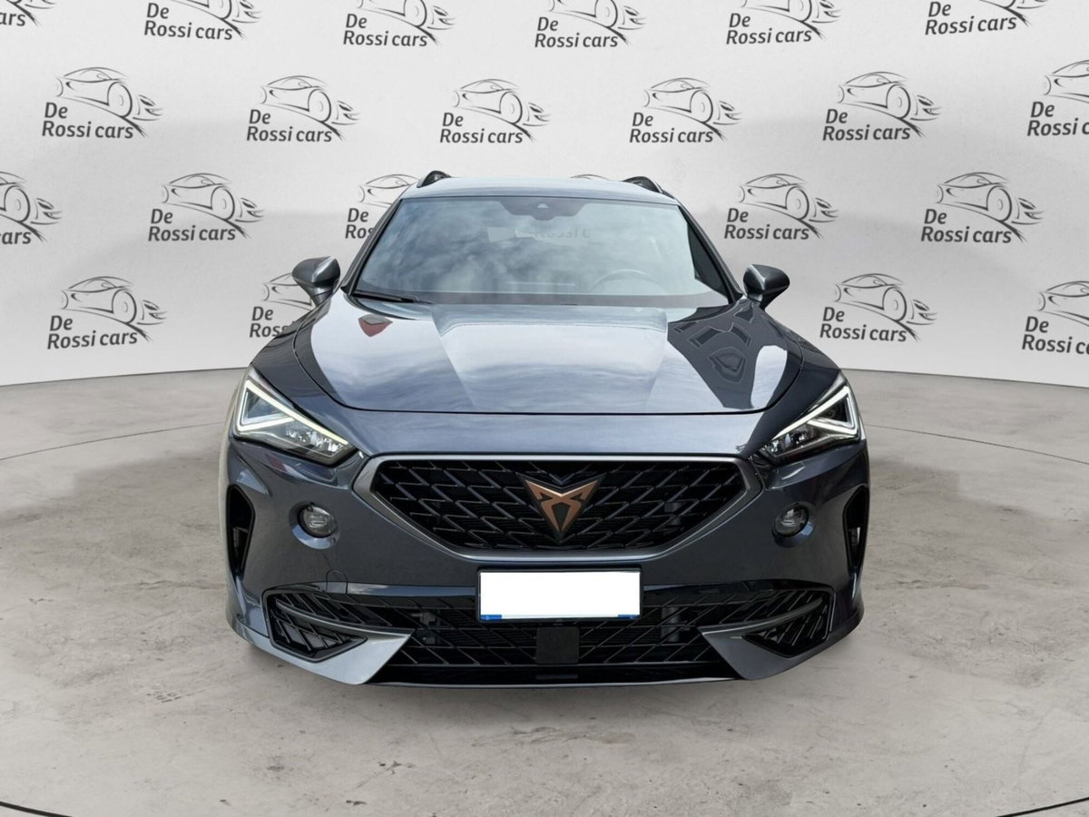 Cupra Formentor Formentor 2.0 tdi 4drive 150cv dsg (2)