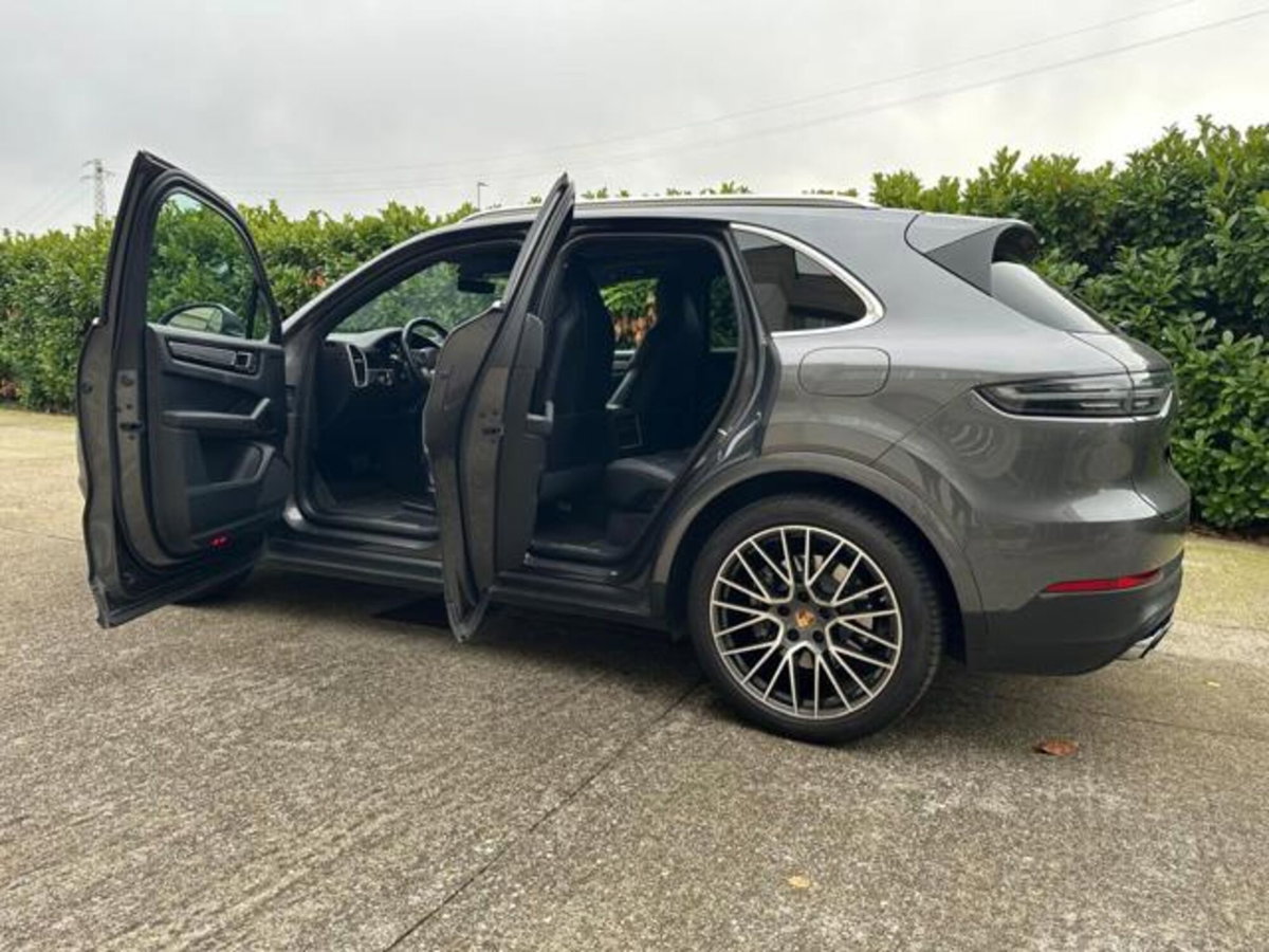 Porsche Cayenne 3.0 V6 Platinum Edition (3)