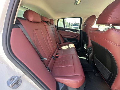 BMW X4 xDrive20d xLine (10)