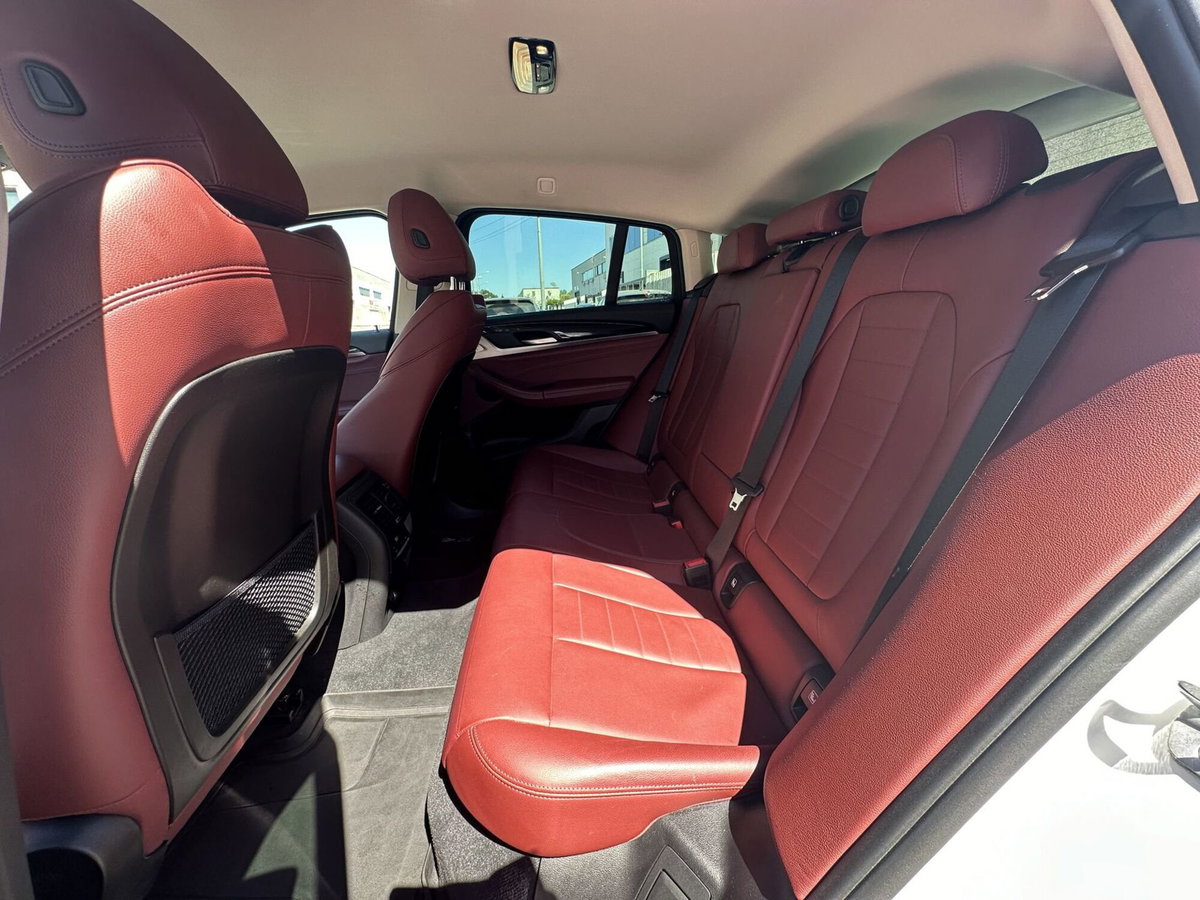 BMW X4 xDrive20d xLine (8)