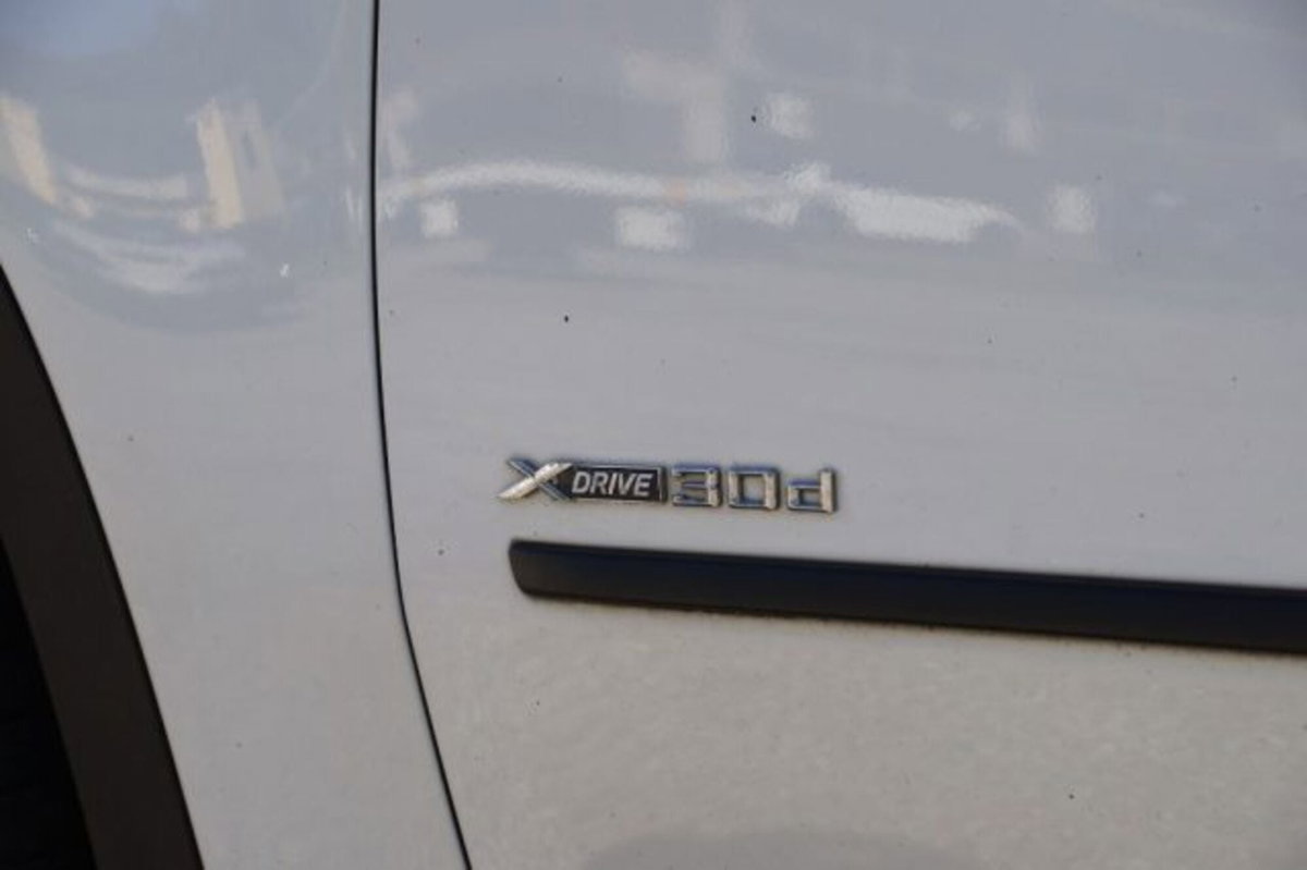 BMW X5 3.0d cat Futura (6)