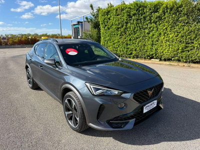 Cupra Formentor Formentor 2.0 tdi 4drive 150cv dsg (3)