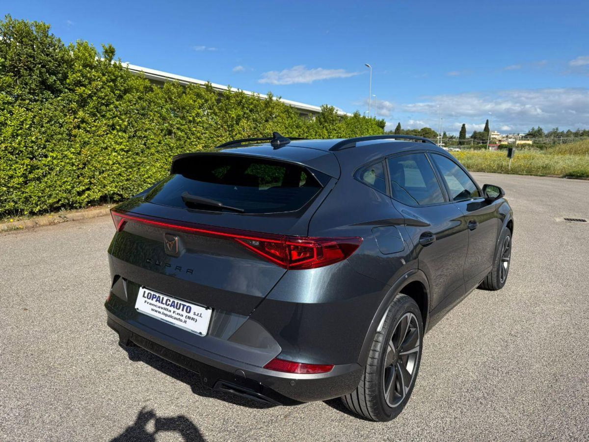 Cupra Formentor Formentor 2.0 tdi 4drive 150cv dsg (4)