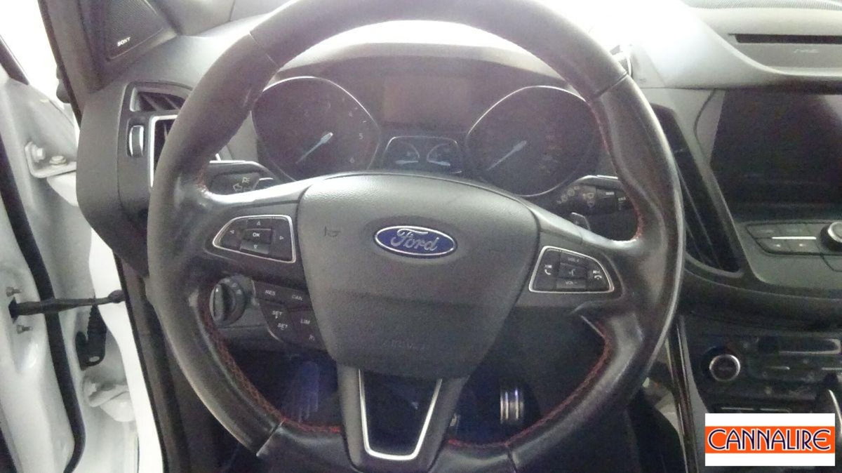 Ford Kuga 2.0 TDCI 120 CV S&S 2WD Plus (9)