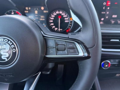 Alfa Romeo Stelvio Stelvio 2.2 Turbodiesel 210 CV AT8 Q4 Ti (17)