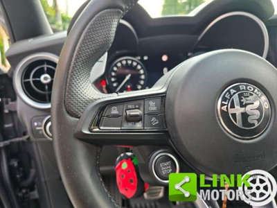 Alfa Romeo Stelvio Stelvio 2.0 Turbo 280 CV AT8 Q4 Veloce Tì (20)