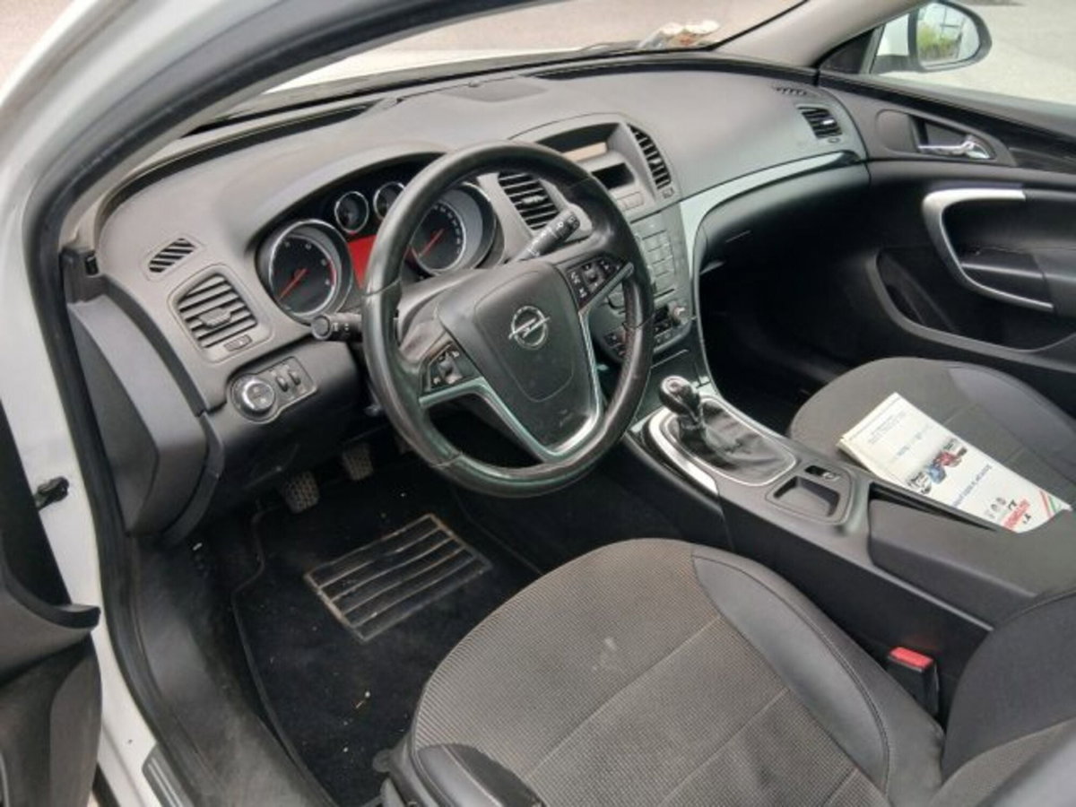 Opel Insignia Station Wagon CDTI Sports Professional N1 (10)