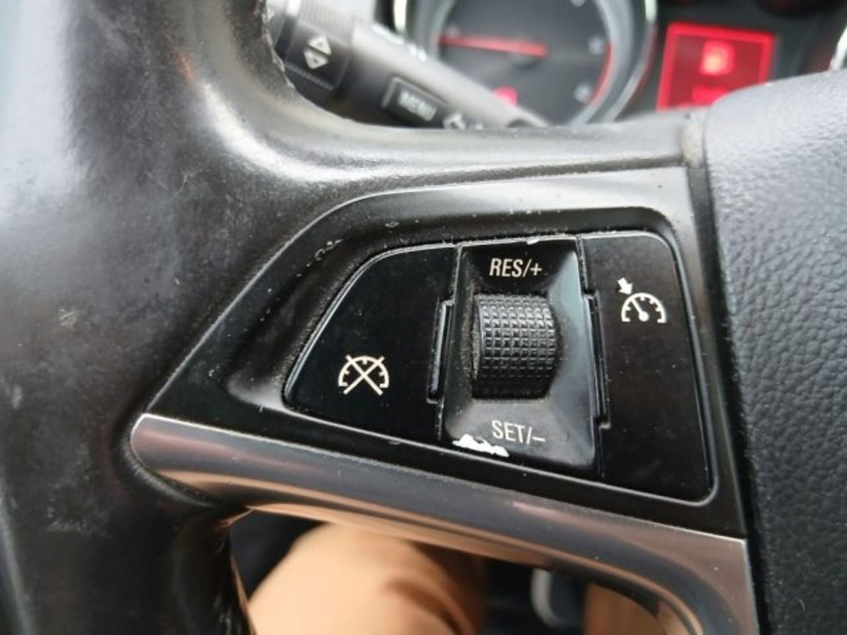 Opel Insignia Station Wagon CDTI Sports Professional N1 (17)