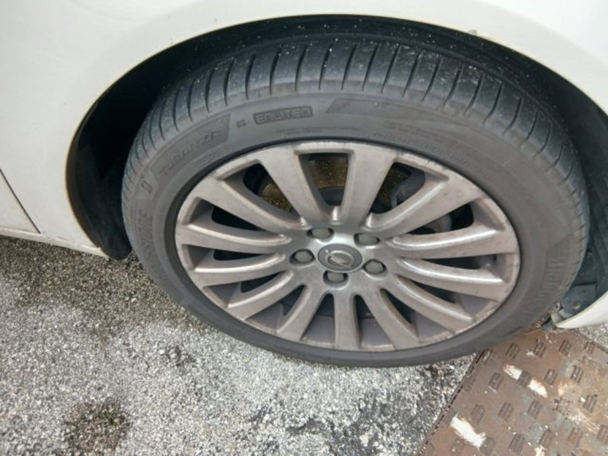 Opel Insignia Station Wagon CDTI Sports Professional N1 (4)