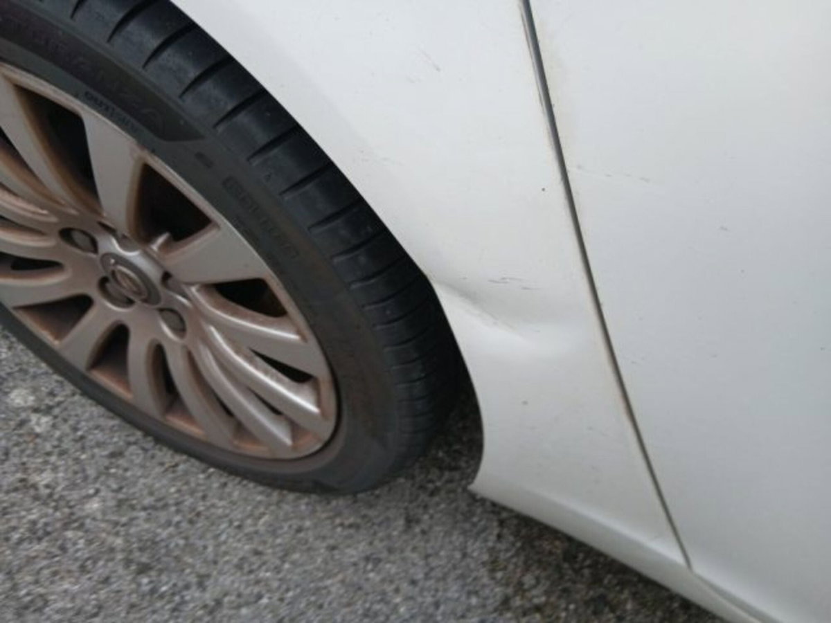 Opel Insignia Station Wagon CDTI Sports Professional N1 (5)