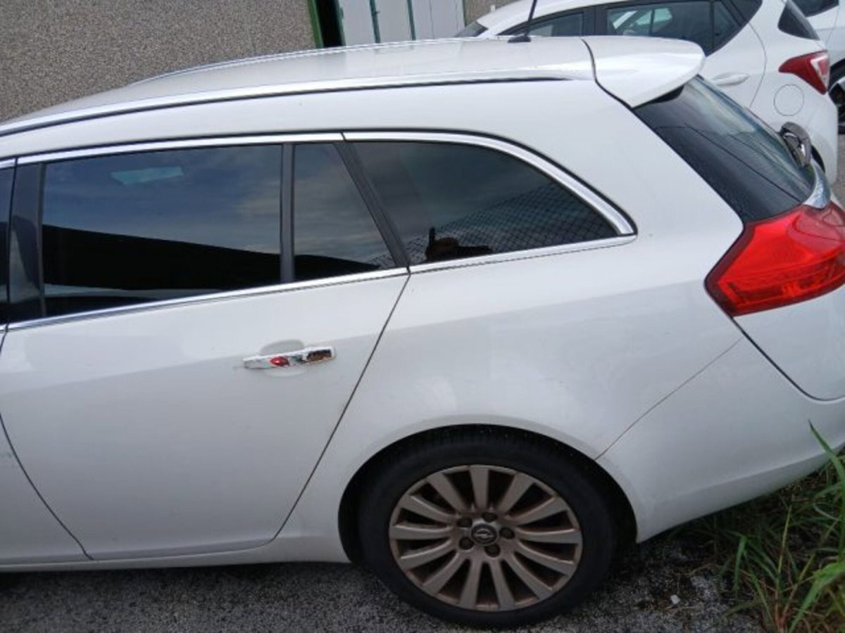 Opel Insignia Station Wagon CDTI Sports Professional N1 (8)