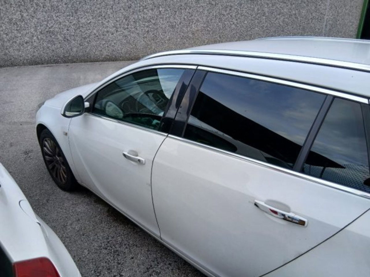 Opel Insignia Station Wagon CDTI Sports Professional N1 (9)