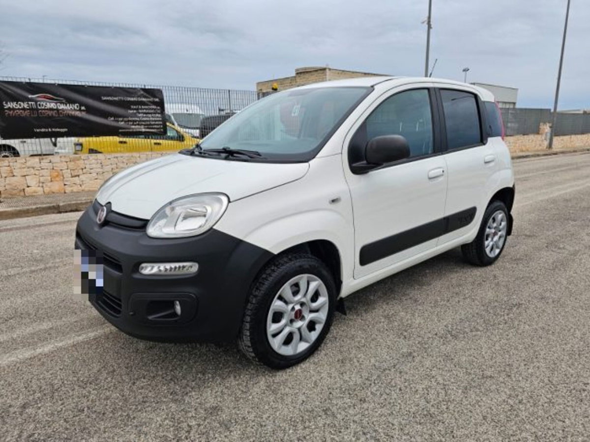 Fiat Panda 1.3 MJT S&S 4x4 Pop Climbing Van 2 posti (2)