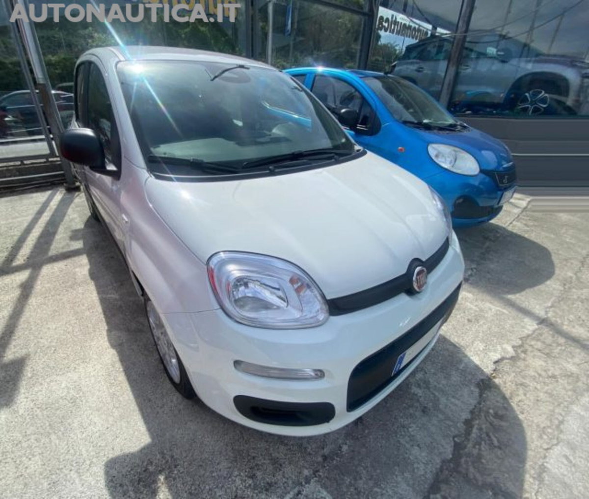 Fiat Panda 1.0 firefly hybrid Icon s&s 70cv (4)